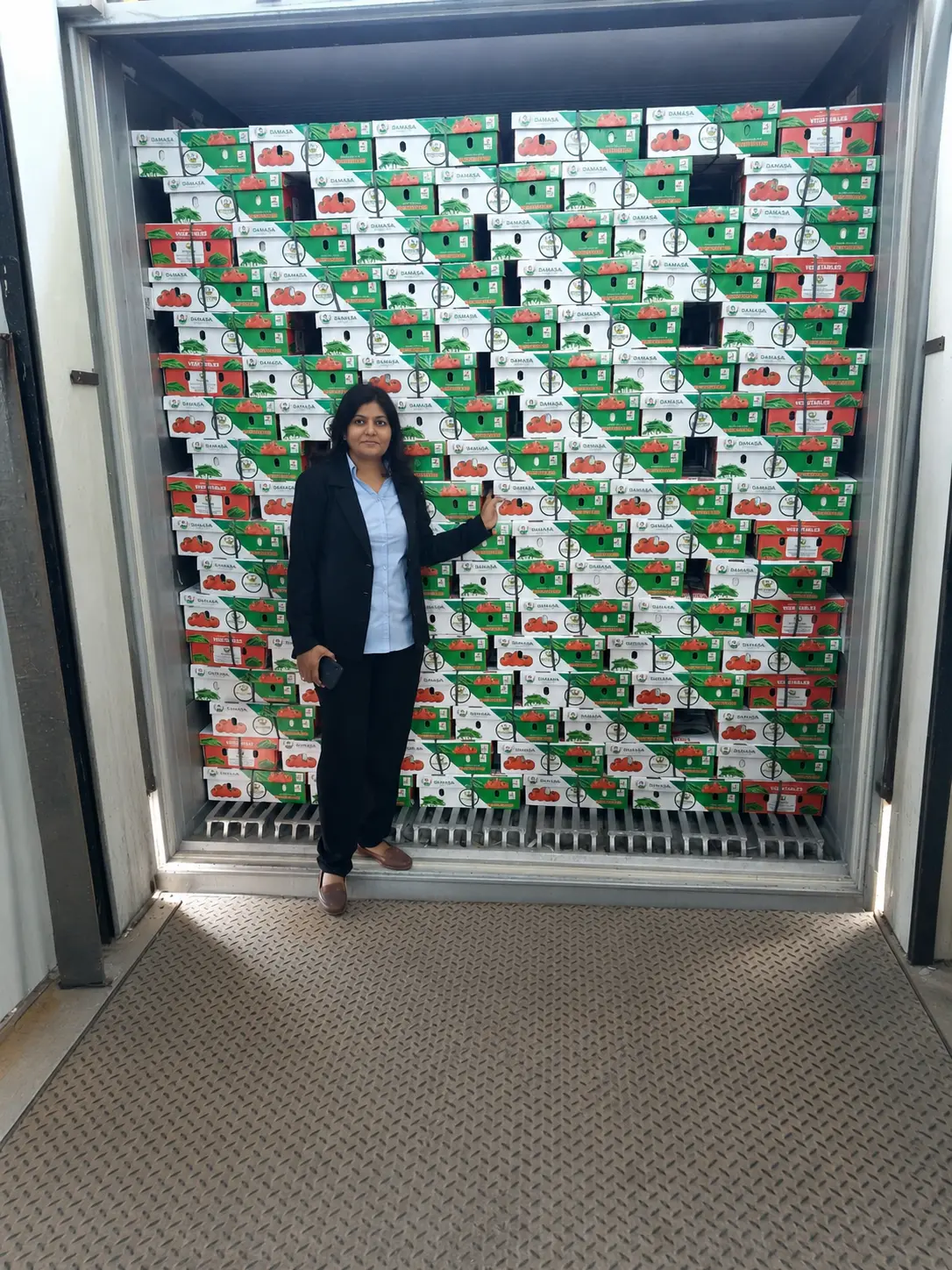 Ramada Exports green chilli shipment and export packaging