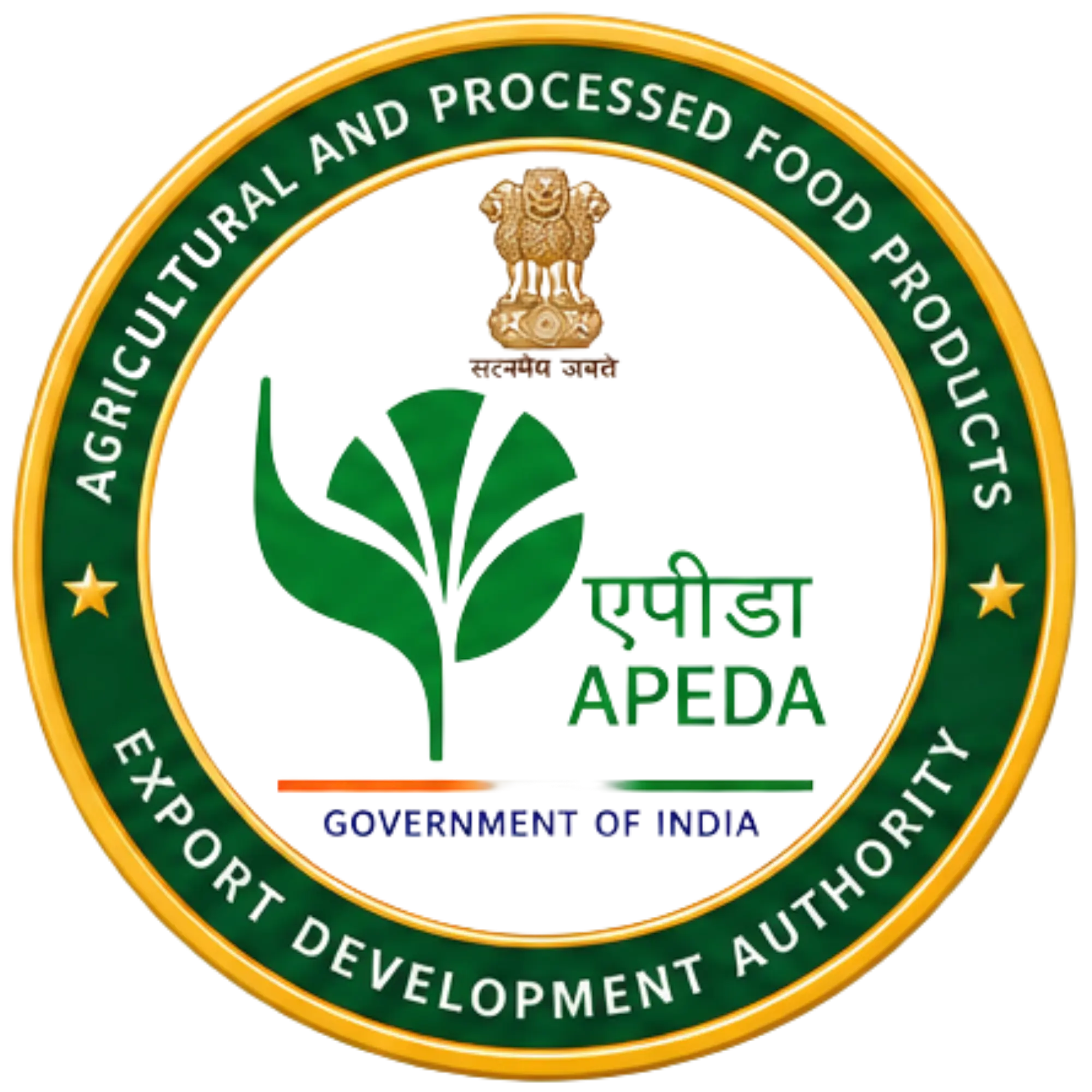 APEDA registration