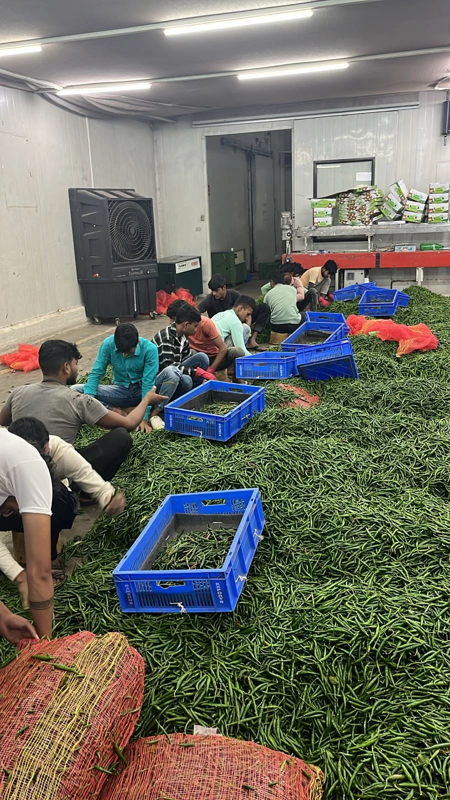 Processing Facility