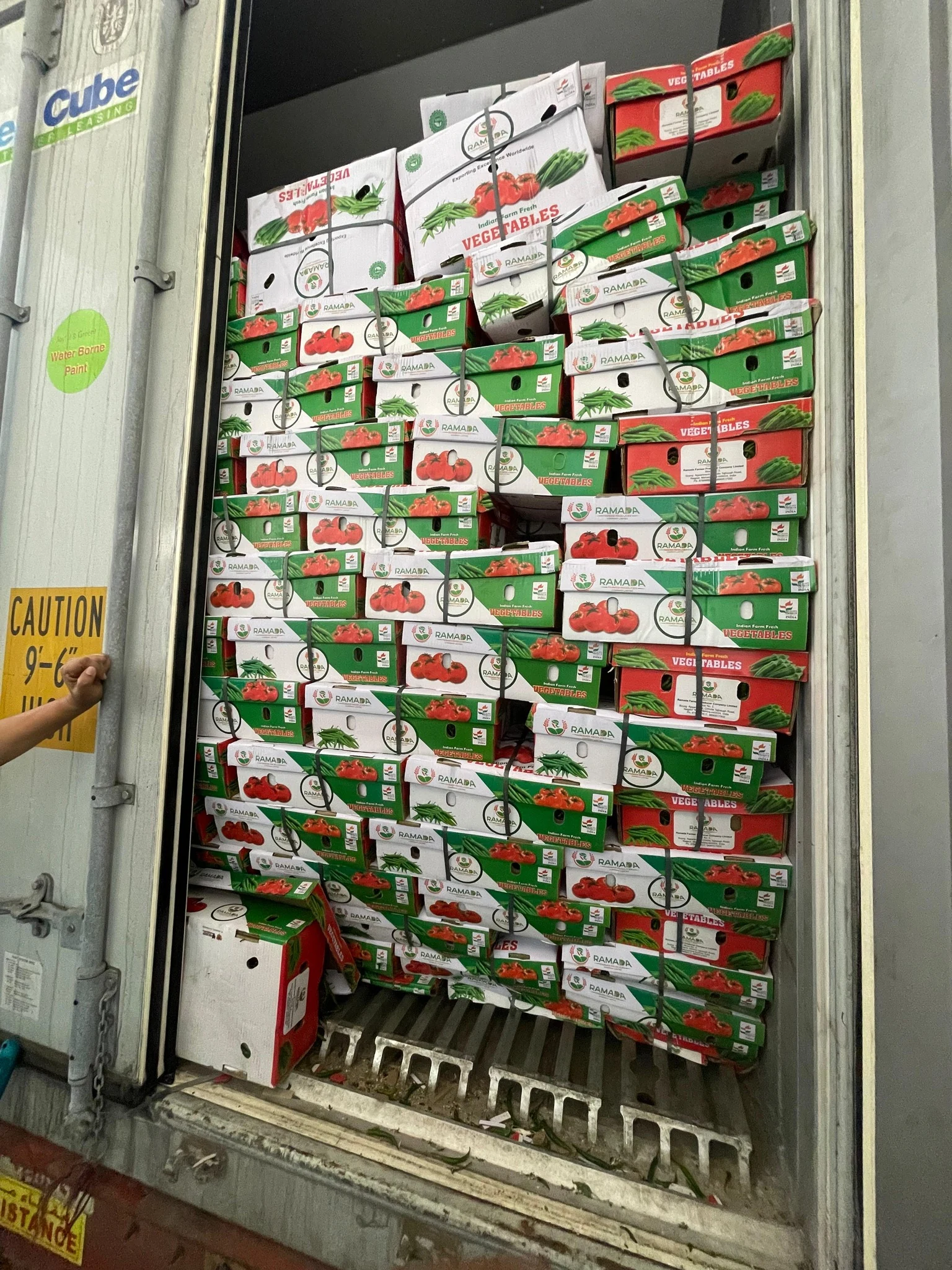 Export-Ready Packaging