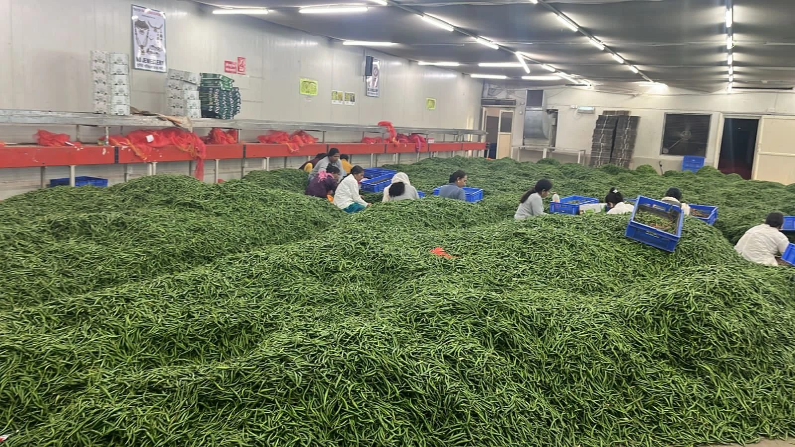 From Indian Farms